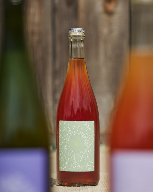 2024 SAUCETTE