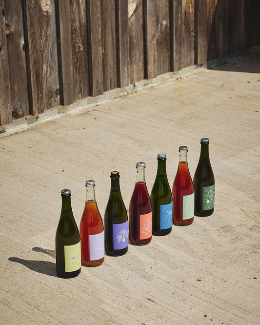 2025 CAISSE MIXTE FESTIVE - 6 BOUTEILLES
