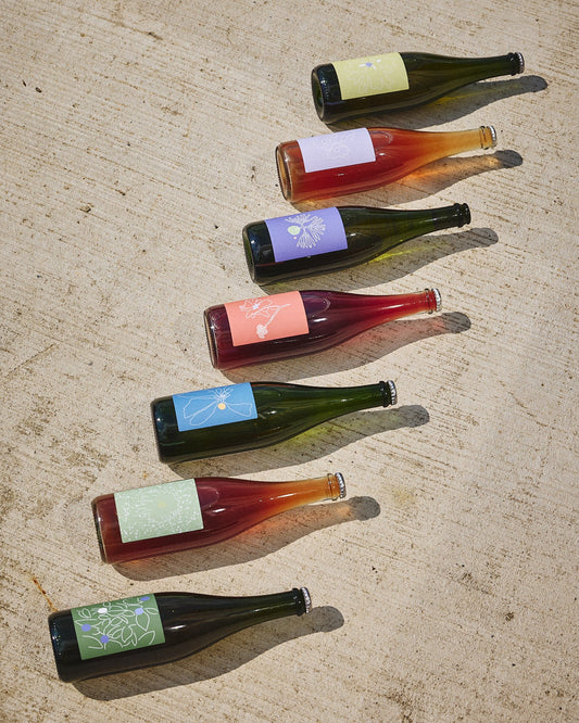 2025 CAISSE MIXTE FESTIVE - 12 BOUTEILLES