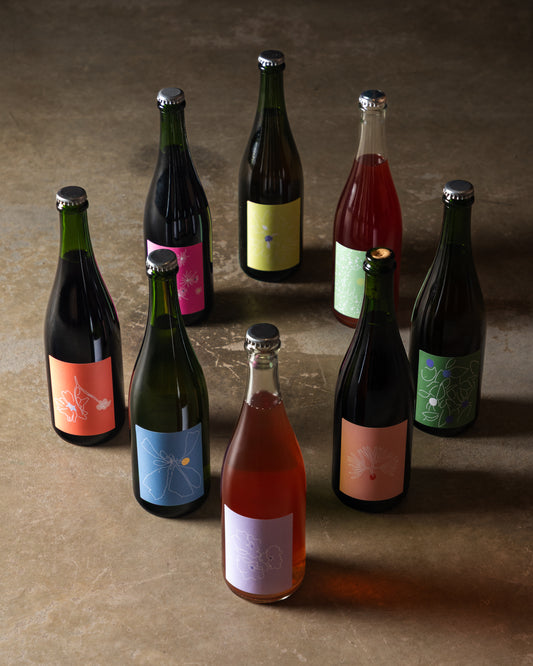 BOUTEILLE DE VINO