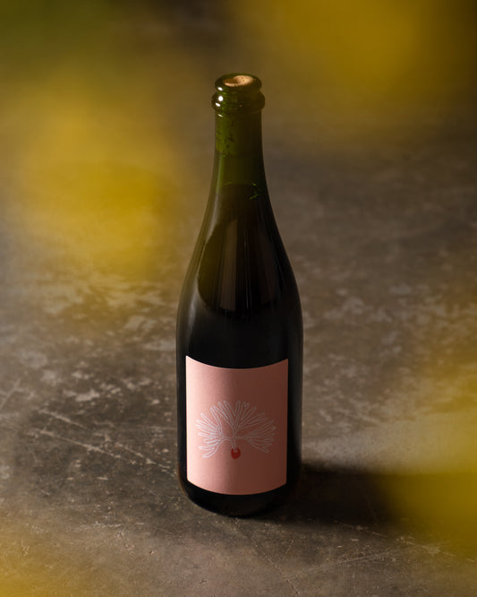 2025 RACINETTE